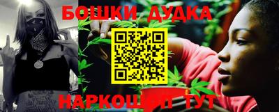 СК Дубна