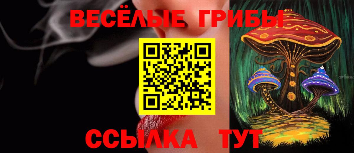 Псилоцибиновые грибы мицелий  Псилоцибиновые грибы мухоморы  Вход с VPN  где продают наркотики  Ленинск-Кузнецкий 